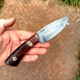 3.75" drop point hunter