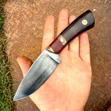 3.75" drop point hunter