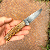 3 5/8" EDC - Bocote handle