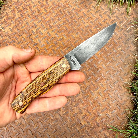 3 5/8" EDC - Bocote handle