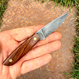 3" Bird & Trout