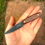 3" Bird & Trout