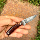 2 5/8" Bird & Trout - Cocobolo