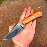 4.25" Drop Point Hunter - Cocobolo