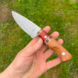 Drop point hunting knife